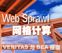DoSTOR存儲(chǔ)分析 VERITAS攜手BEA邁向網(wǎng)格計(jì)算-DOIT-數(shù)據(jù)產(chǎn)業(yè)媒體與服務(wù)平臺(tái)