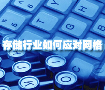 DoSTOR存儲分析 專欄文章:存儲行業(yè)如何應(yīng)對網(wǎng)格-DOIT-數(shù)據(jù)產(chǎn)業(yè)媒體與服務(wù)平臺